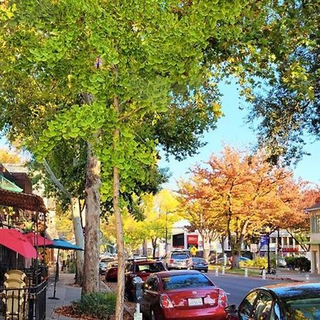Artist'S Retreat Near The Heart Of The City Sacramento Extérieur photo