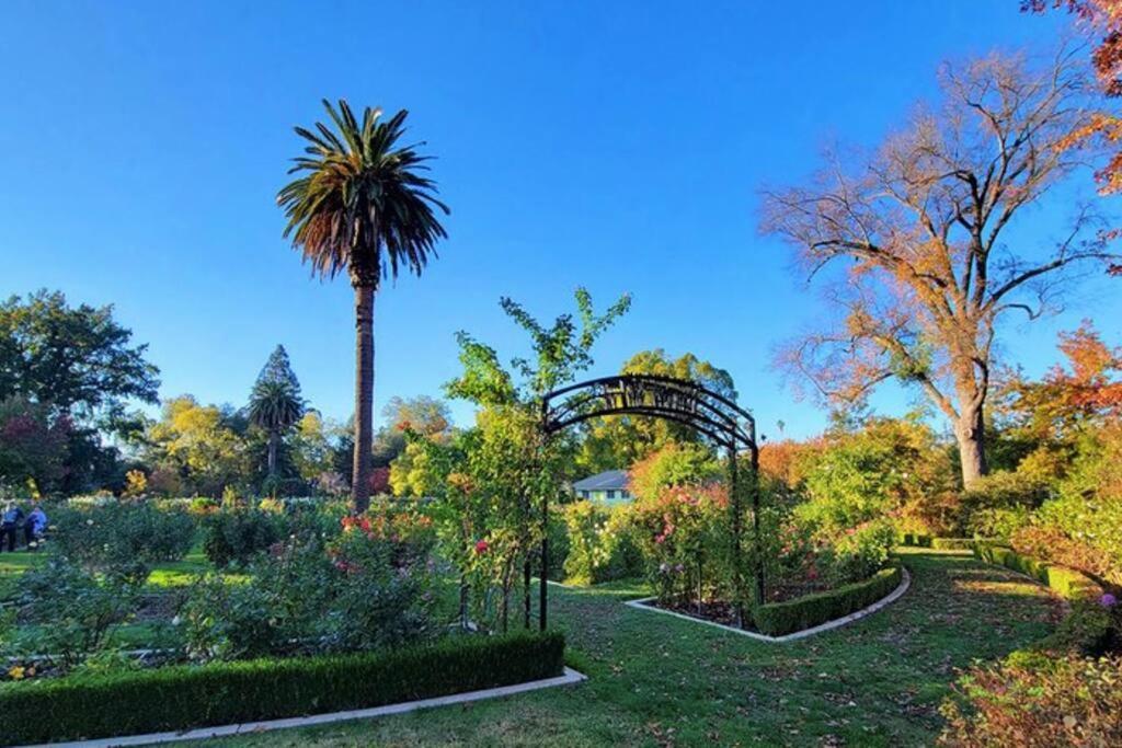 Artist'S Retreat Near The Heart Of The City Sacramento Extérieur photo